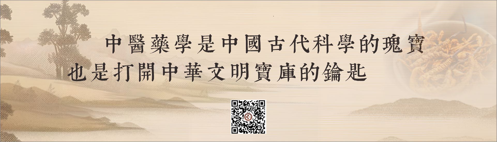 博仕大中医